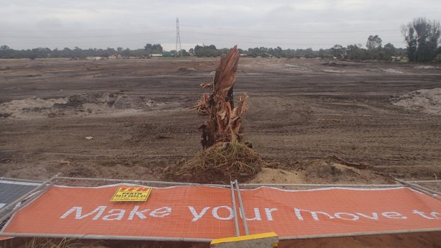 Peet have already begun clearing nearby for the 1300-lot, 60-hectare development. 