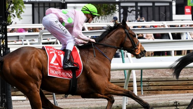 Day to remember: Apprentice Ben Allen steers Thomas Hobson round the Flemington track. 
