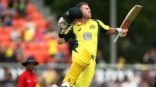 Master class: David Warner leaps in the air after posting a century.