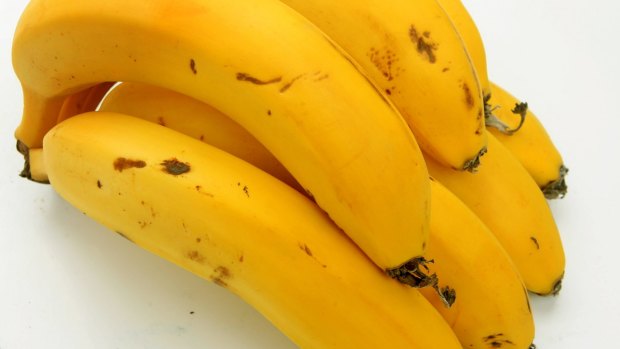 Under threat: the Cavendish banana.