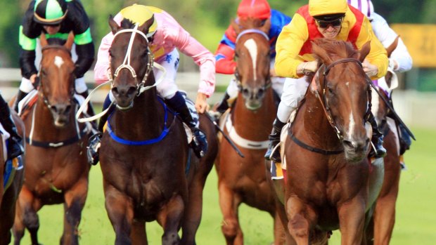 Not all of us know what we're doing when it comes to betting on the Melbourne Cup. 