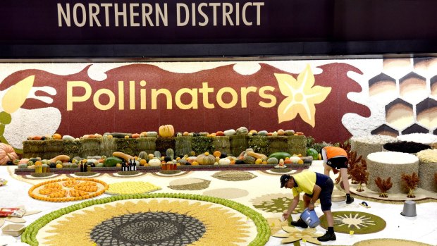 Workers add the last touches to Sydney Royal Easter Show's famous district exhibits, which, they promise, will be finished by opening day on March 17. 