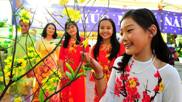 Admiring the Mai flower, which is said to be lucky, at the Sakyamuni Buddhist Centre are, from left, Peter Zhao,13, Hong Pham, Phuong Phan, Cindy Zhao,12 and Jade Tong,11, all of Monash. 