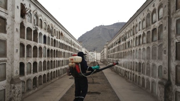 A health worker fumigates against the Aedes aegypti mosquito, a vector for the spread of dengue, chikungunya and Zika virus, at Presbitero Maestro cemetery in Lima, Peru, on Friday.