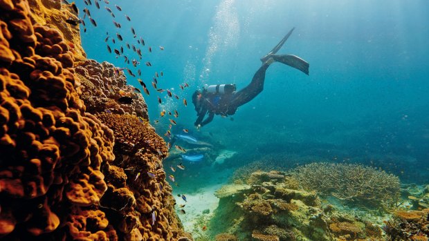 The state government says a dredging ban will help the Great Barrier Reef.