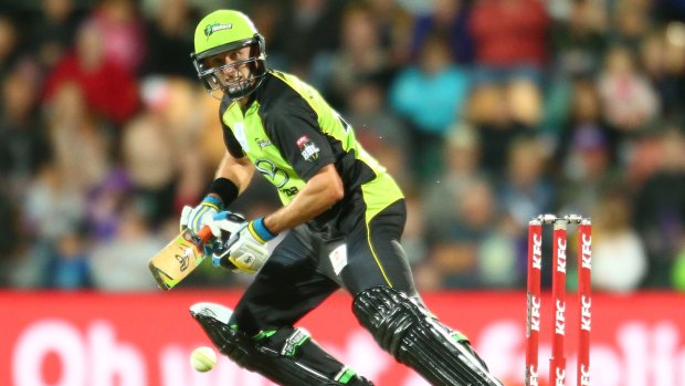 Old head: Mike Hussey, 40, has been integral to the Sydney Thunder's resurgence.