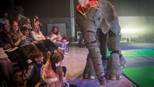 Puppet master: Karanga the bay elephant plays with members of the audience in <i>Circus 1903</i>.