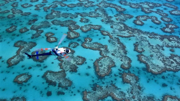 Environmentalists are concerned the Great Barrier Reef may be harmed by the project.