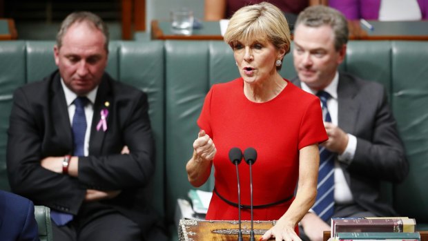 "I have expressed my concerns about the situation in Rakhine State": Foreign Minister Julie Bishop.