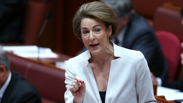 Michaelia Cash says the Abbott government accepts that Australia has a domestic violence epidemic.