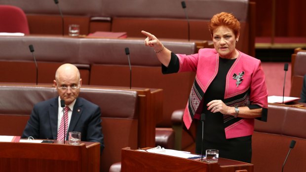 Senator Pauline Hanson benefited from a surge in popularity but the United Nations has warned against "normalising" her views.