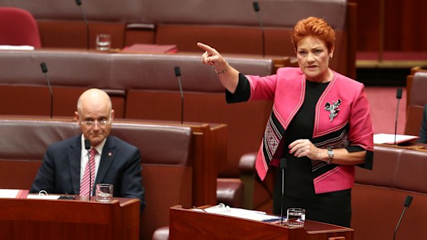 Senator Pauline Hanson benefited from a surge in popularity but the United Nations has warned against "normalising" her views.