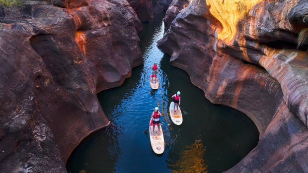 Spring-fed Cobbold Gorge flows year-round, and SUPing is a gentle and immersive way to explore it.