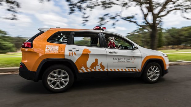 A new pet ambulance, one of three running as part of the Howl-tzolah service.