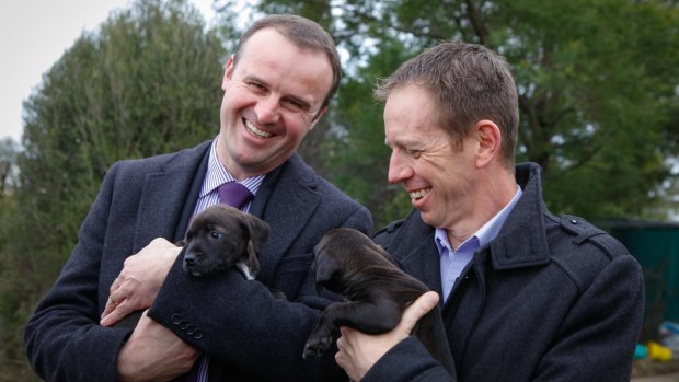Greens MLA and ACT Government Minister Shane Rattenbury says he has a good working relationship with Andrew Barr.