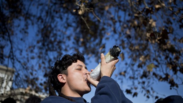 A man smokes from a giant marijuana joint during a demonstration in favour of legalisation in Santiago, Chile.
