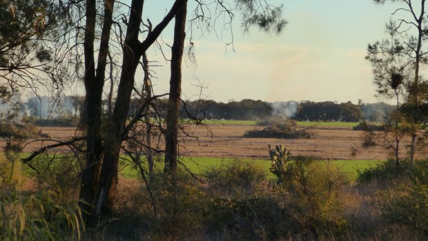 Pictures of burning stacks of native vegetation taken by Office of Environment and Heritage officer Robert Strange in Croppa Creek just before the killing of Glen Turner.