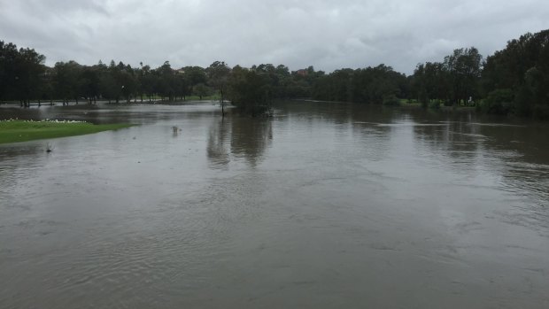 Overwhelming the system: Flooding in Riverview Crescent, Dulwich Hill in April 2105.
