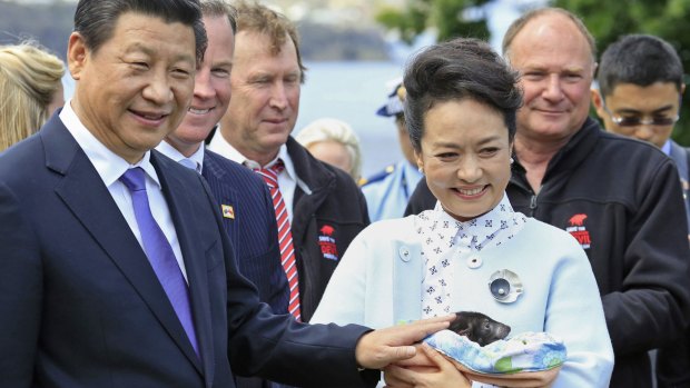 Meet and greet: President Xi Jinping and his wife, Peng Liyuan, have a close encounter with a Tasmanian Devil during their visit to Government House in Hobart. 
