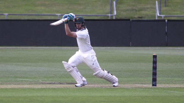 Canberra cricketer Tom Rogers during his Sheffield Shield debut for Tasmania. Source: Jeremy Hill, Cricket Tasmania.