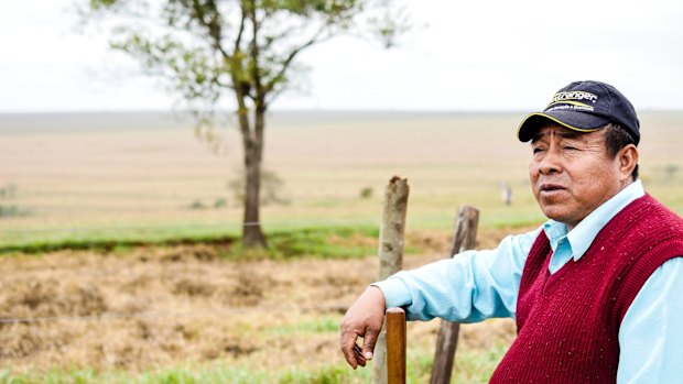 Kaiowa elder Virgilio has plans for the reforestation of what is today a cattle station on land the Kaiowa hope to regain.