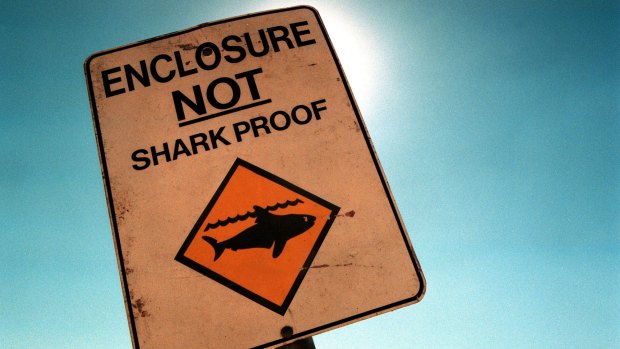 Cottesloe council has put measures in place to allow for shark nets - if needs be 