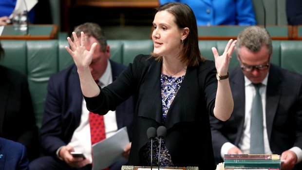 Finance Minister Kelly O'Dwyer will announce measures to give better protection to whistleblowers. 