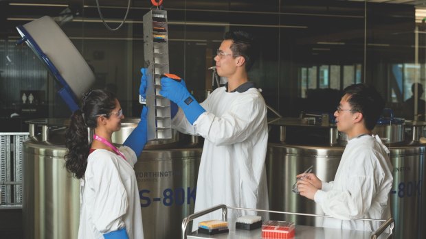 NSW Health Statewide Biobank staff inspecting the cryogenic vats that store samples at -196 degrees.