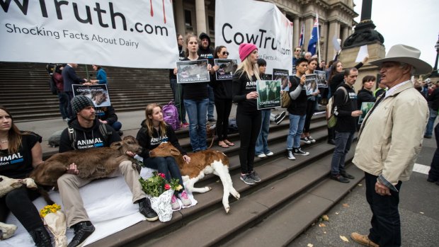 Animal liberationists awaited the arrival of the farmers on the steps of Parliament House on Wednesday.