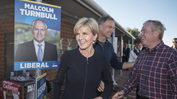 Julie Bishop was highly critical the last time the AEC had issues counting votes in WA.