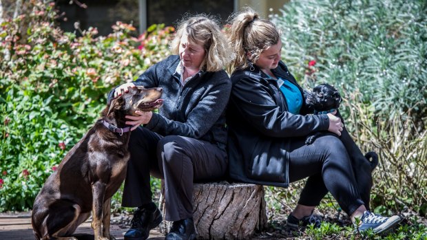 Hall Vet Lesa Potten (left) and head receptionist April Maney have concerns about the recent arrival of paralysis ticks in ACT. 