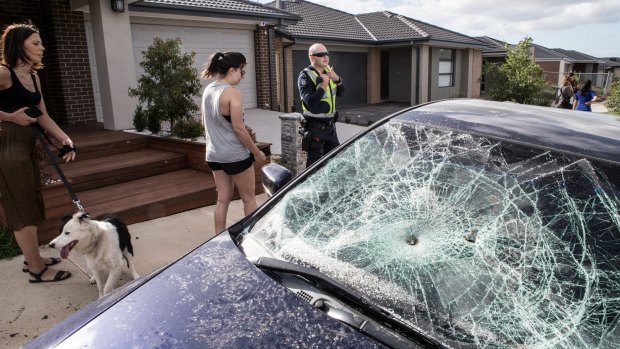 Damage in the wake of the party could be seen across the suburban street and surrounds.