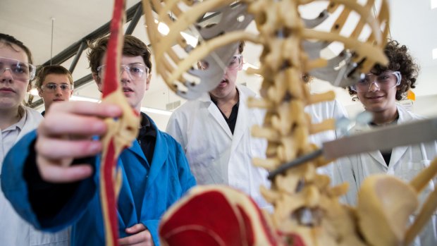 Year nine Geelong High School students look at a skeleton in the forensic lab at Deakin University in Geelong.