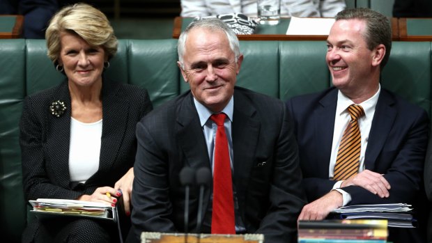 Julie Bishop, Malcolm Turnbull and Christopher Pyne.