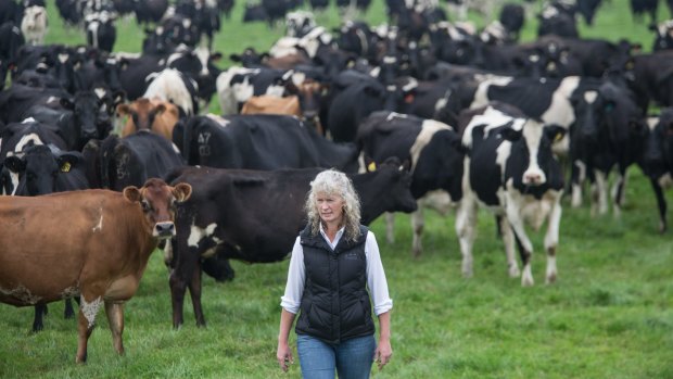 Dairy farmer Kate Lamb described Murray Goulburn's milk price cut as ''a kick in the guts''.