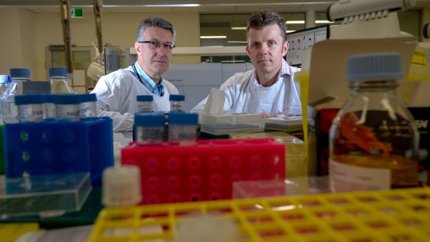 Dr Jim Vadolas (left), head of the Cell and Gene Therapy team at the Murdoch Children's Research Institute and colleague Dr Brad McColl in one of the labs where they undertake ground-breaking research.