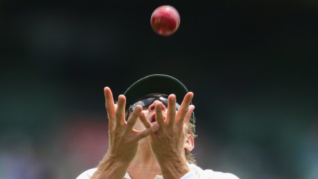 Eye on the ball: Shane Watson says all five Ashes Tests should be played with a red ball.