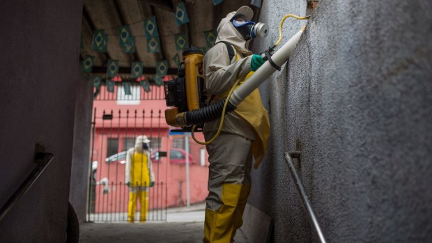 Agents work to combat the larvae of Aedes aegypti in a residential area of Sao Paulo, Brazil on Friday.