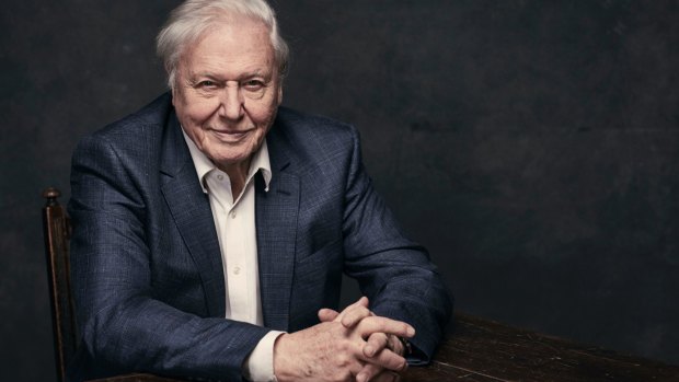 Sir David Attenborough: Extra meaning now in this instalment about reefs.