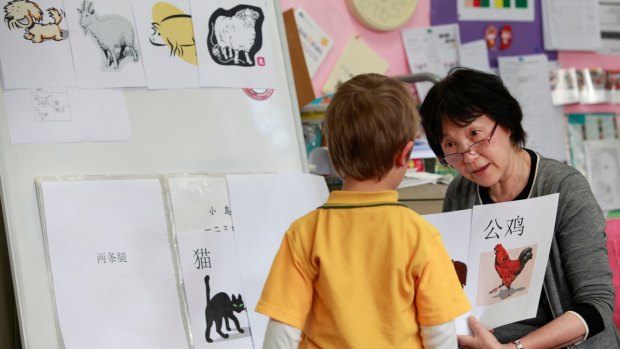 Chinese teacher My Hoa Lam at the bilingual class of the Abbotsford Primary School, Melbourne, in 2011.