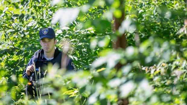 A correction officer searches a wooded area of upstate New York as the manhunt for convicted murderer David Sweat continues.