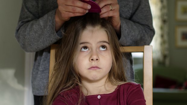 A young girl being treated for head lice.