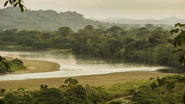 The Napo River runs through the Amazon Rainforest, delivering its watery lifeblood to the villagers living along its banks. 