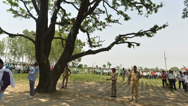 Indian police officials keep watch at the tree where the girls were found.