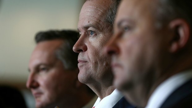 Opposition Leader Bill Shorten, pictured with shadow treasurer Chris Bowen and transport and infrastructure spokesman Anthony Albanese, has vowed to fight any early election on "Labor's turf". 