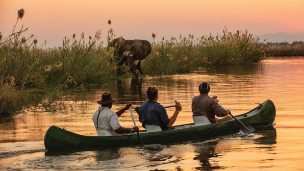 Tembo Plains Camp is designed to be sensitive to the environment while offering high-end luxury and a box-seat experience of wildlife.