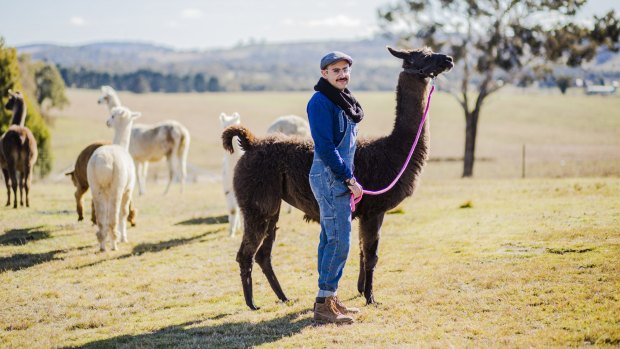 23-year-old Mark Ayyad is hoping to start his own Llama farm at Tarlo.