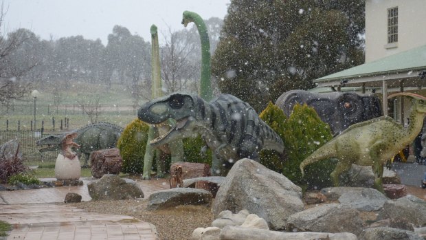 The National Dinosaur Museum has reported an ice age after snowfall