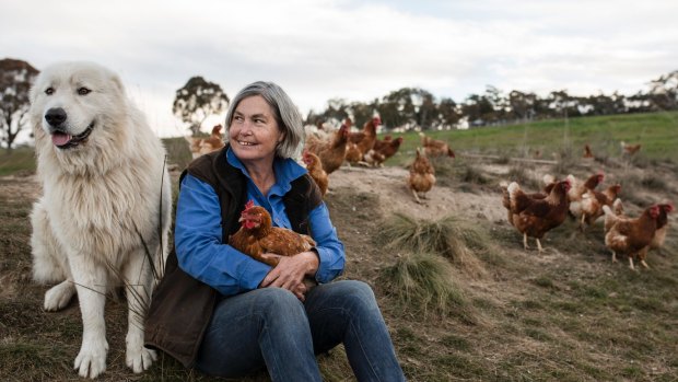 Long Paddocks Eggs co-owner Amanda Mutton runs a pastured egg farm with the second lowest stocking density per hectare.