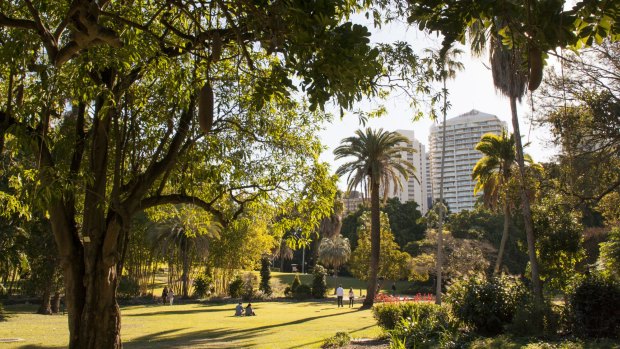 Brisbane City Council has released its draft plan for the City Botanic Gardens.